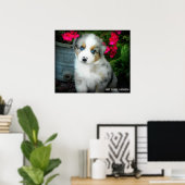 Blue Merle Aussie 2 Puppy Poster (Thuiskantoor)