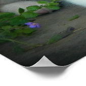 Blue Merle Aussie 3 Puppy Poster (Hoek)