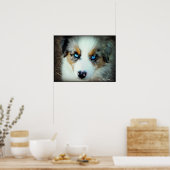 Blue Merle Aussie Puppy Poster (Keuken)