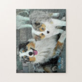 Blue Merle Aussies Puzzle Legpuzzel (Verticaal)