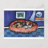 Blue Merle Australian Shepherd in bed Briefkaart (Voorkant)