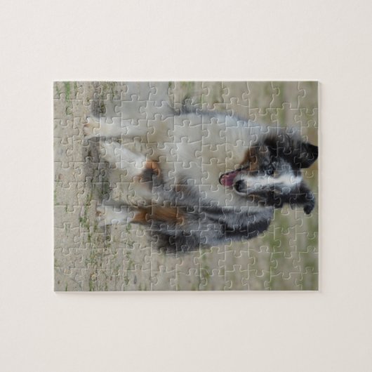Blue Merle Australian Shepherd Legpuzzel (Horizontaal)