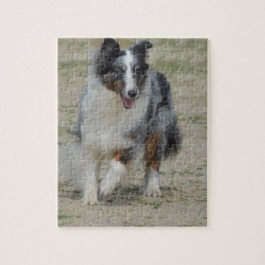 Blue Merle Australian Shepherd Legpuzzel (Verticaal)