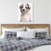 Blue Merle Australian Shepherd puppy close-up Canvas Afdruk (Insitu (Slaapkamer))