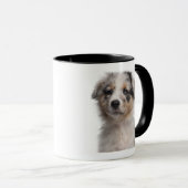 Blue Merle Australian Shepherd puppy close-up Mok (Voorkant rechts)