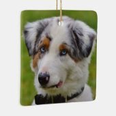 Blue Merle Australian Shepherd Puppy Keramisch Ornament (Rechts)