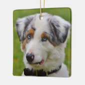 Blue Merle Australian Shepherd Puppy Keramisch Ornament (Links)