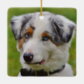 Blue Merle Australian Shepherd Puppy Keramisch Ornament (Achterkant)