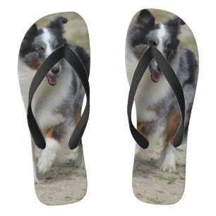 Blue Merle Australian Shepherd Teenslippers