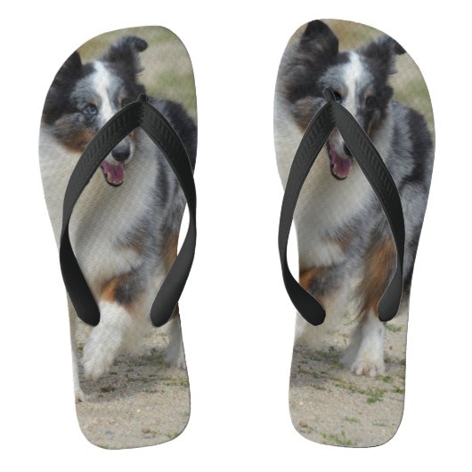 Blue Merle Australian Shepherd Teenslippers (Voetbed)
