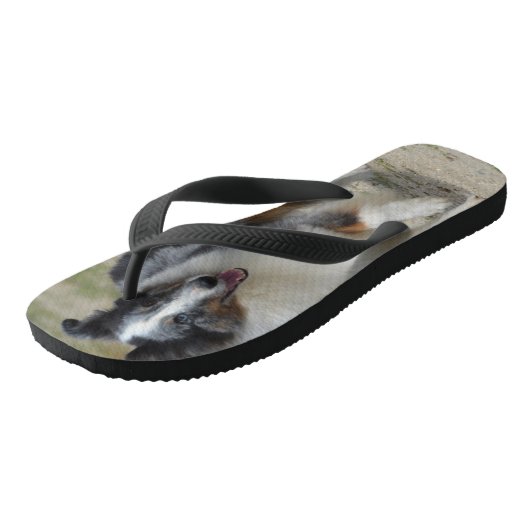 Blue Merle Australian Shepherd Teenslippers (Schuin)