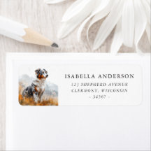 Blue Merle Australische Herdershond Scenisch