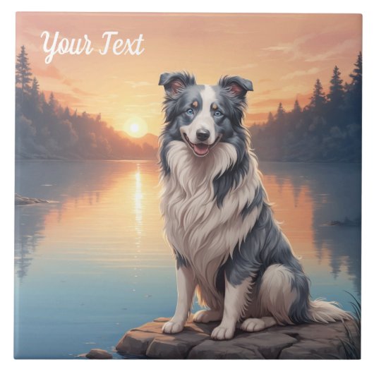 Blue Merle Border Collie bij het meer Tegeltje (Voorkant)