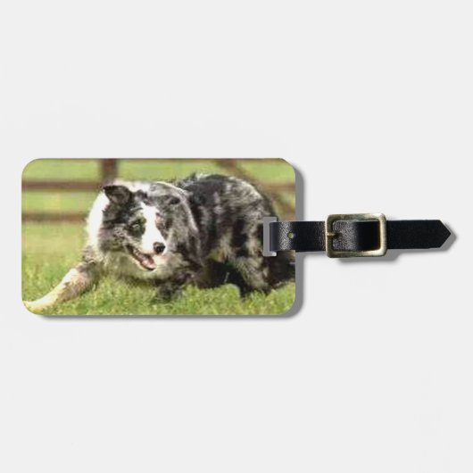 Blue Merle Border Collie Joe~Bagagelabel Bagagelabel (Voorkant horizontaal)