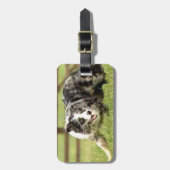 Blue Merle Border Collie Joe~Bagagelabel Bagagelabel (Voorkant verticaal)