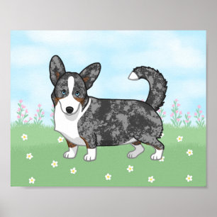 Blue Merle Cardigan Welsh Corgi Flowers Poster