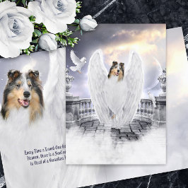 Blue Merle Collie Angel Heaven - Pet Loss Sympathi Kaart