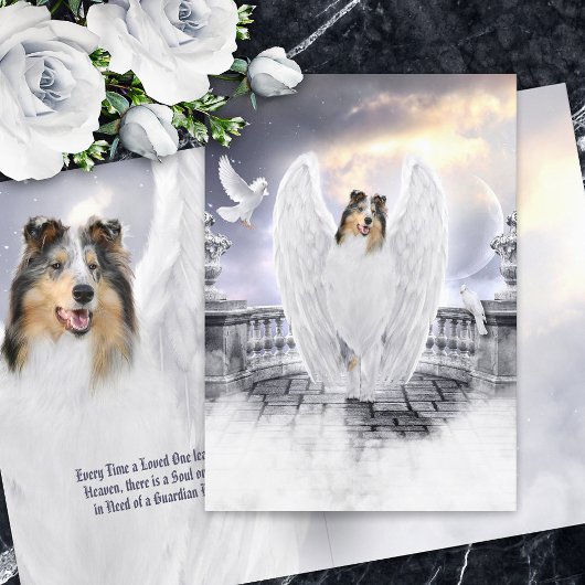 Blue Merle Collie Angel Heaven - Pet Loss Sympathi Kaart