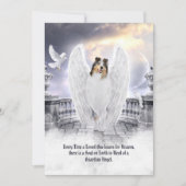 Blue Merle Collie Angel - Pet Losse Sympathiekaart (Voorkant)