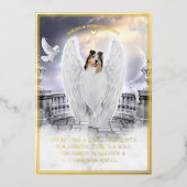 Blue Merle Collie Angel - Pet Sympathy Folie Kaart (Voorkant)