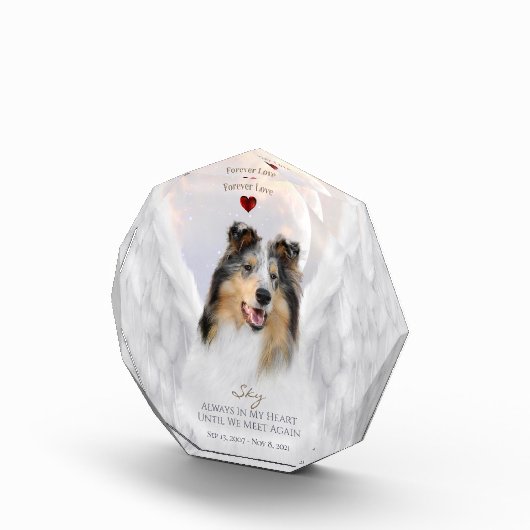 Blue Merle Collie Angel Portrait - Pet Memorial Fotoblokken (Rechts)