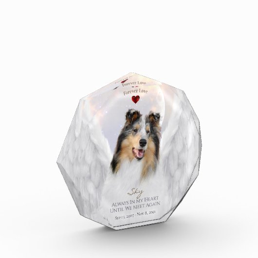 Blue Merle Collie Angel Portrait - Pet Memorial Fotoblokken (Links)