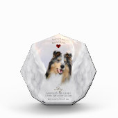 Blue Merle Collie Angel Portrait - Pet Memorial Fotoblokken (Voorkant)