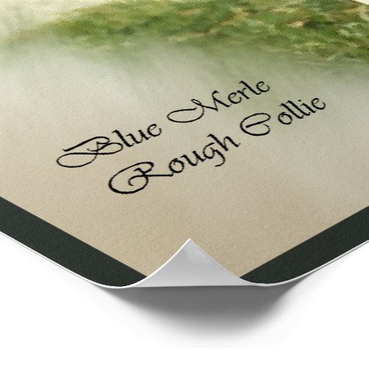 Blue Merle Collie Art Print (Hoek)