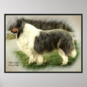 Blue Merle Collie Art Print (Voorkant)