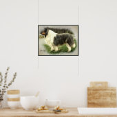 Blue Merle Collie Art Print (Keuken)