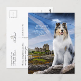 Blue Merle Collie, Eilean Donan en Scottish Flag - Briefkaart