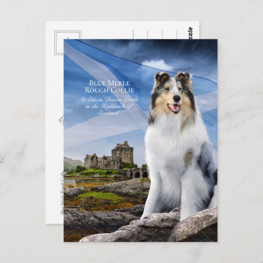 Blue Merle Collie, Eilean Donan en Scottish Flag - Briefkaart (Voorkant / Achterkant)