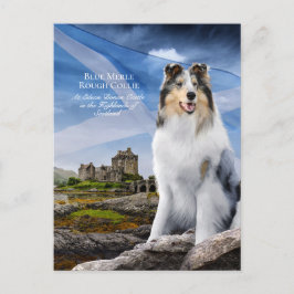 Blue Merle Collie, Eilean Donan en Scottish Flag - Briefkaart