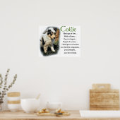 Blue Merle Collie Gifts Poster (Keuken)
