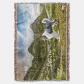 Blue Merle Collie Herding Sheep - Gepersonaliseerd Deken (Voorkant Verticaal)