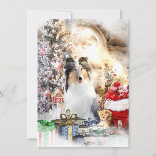 Blue Merle Collie & Kat, Merry Kerstmis - Kaart (Voorkant)