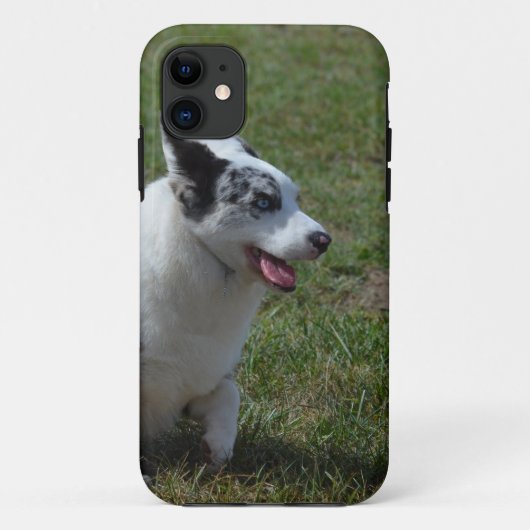 Blue Merle Corgi Dog Case-Mate iPhone Case (Achterkant)