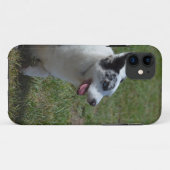 Blue Merle Corgi Dog Case-Mate iPhone Case (Achterkant (horizontaal))