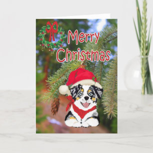 Blue Merle Kerstmis Aussie Cartoon Puppy Feestdagen Kaart