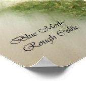 Blue Merle Rough Collie Art Gifts Poster (Hoek)