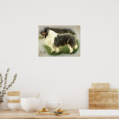 Blue Merle Rough Collie Art Gifts Poster (Keuken)