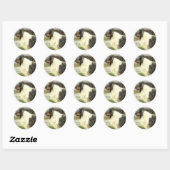 Blue Merle Rough Collie Art Gifts Ronde Sticker (Vel)