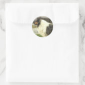 Blue Merle Rough Collie Art Gifts Ronde Sticker (Tas)