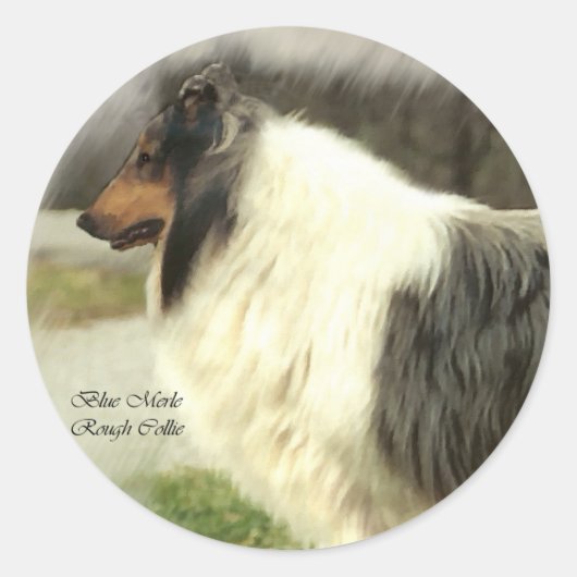 Blue Merle Rough Collie Art Gifts Ronde Sticker (Voorkant)
