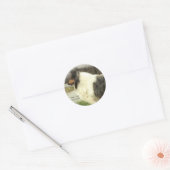 Blue Merle Rough Collie Art Gifts Ronde Sticker (Envelop)