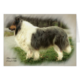 Blue Merle Rough Collie Art Kaarten Cadeaus