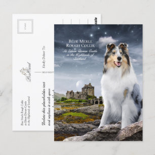 Blue Merle Rough Collie at Eilean Donan Castle - Briefkaart