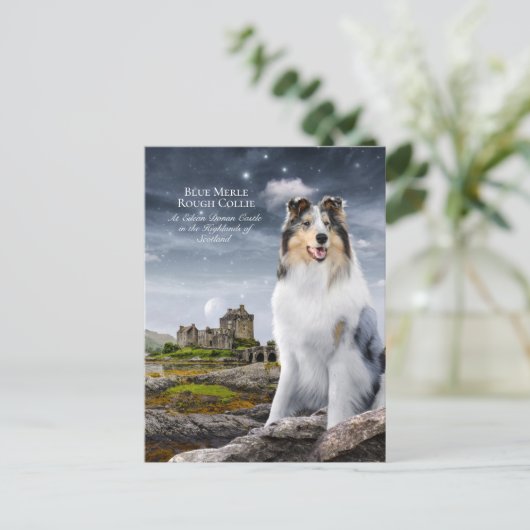Blue Merle Rough Collie at Eilean Donan Castle - Briefkaart (Staand voorkant)