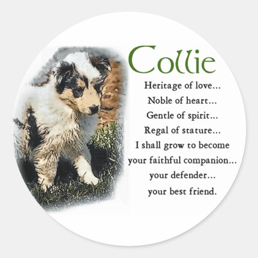 Blue Merle Rough Collie Gifts Ronde Sticker (Voorkant)