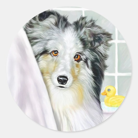 Blue Merle Sheltie Bath Ronde Sticker (Voorkant)